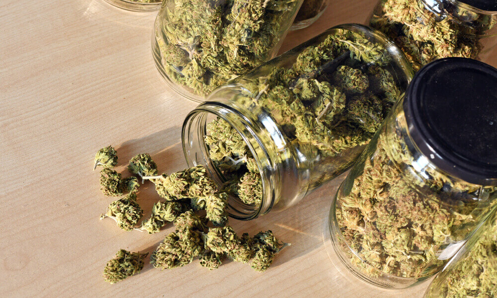THCA flower